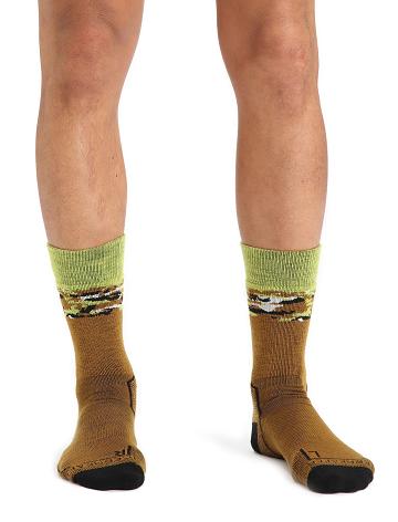 Men's Icebreaker Merino Hike+ Medium Crew Sedimentary Socks Clove / Black | CA 1944JPQJ